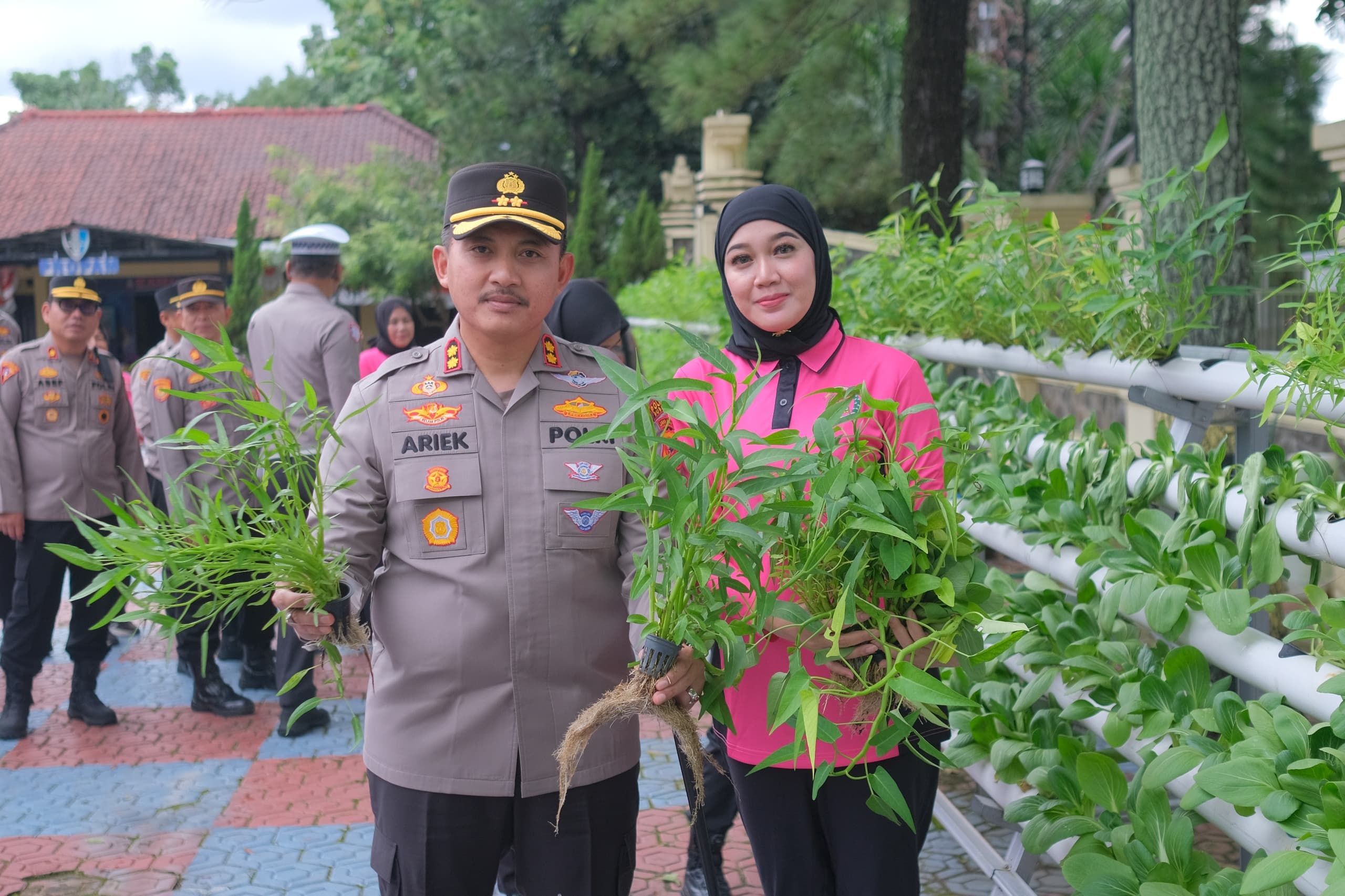 Kapolres Subang dan Ketua Bhayangkari Cabang Subang Panen Kangkung dan Pakcoy di Perkarangan Pangan Lestari (P2L) Polres Subang